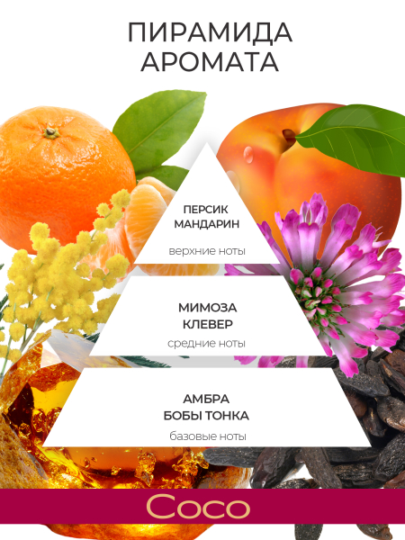 Купить антисептик парфюмированный COCO 220 мл