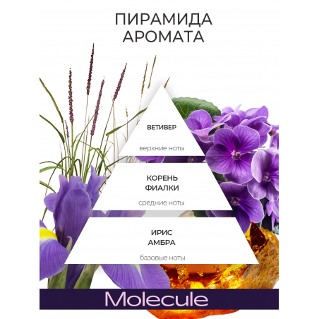 Антисептик для ногтей парфюмированный Molecule 220 мл