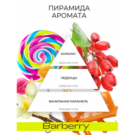 Обезжириватель для ногтей парфюмированный Barberry 220 мл