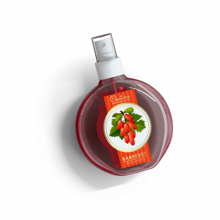 Антисептик для ногтей парфюмированный Barberry 220 мл