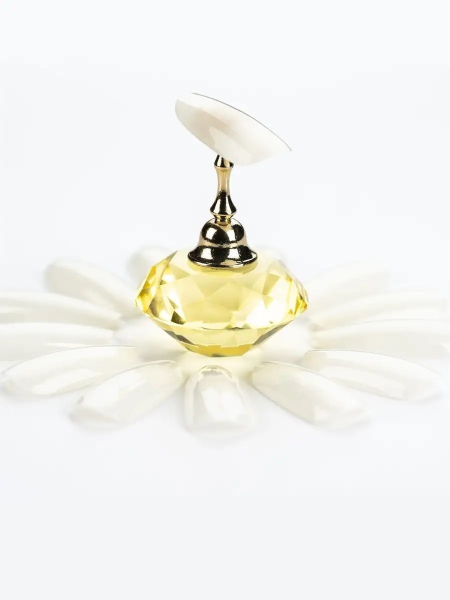 Купить типсы для демонстрационного дизайна ногтей натуральные