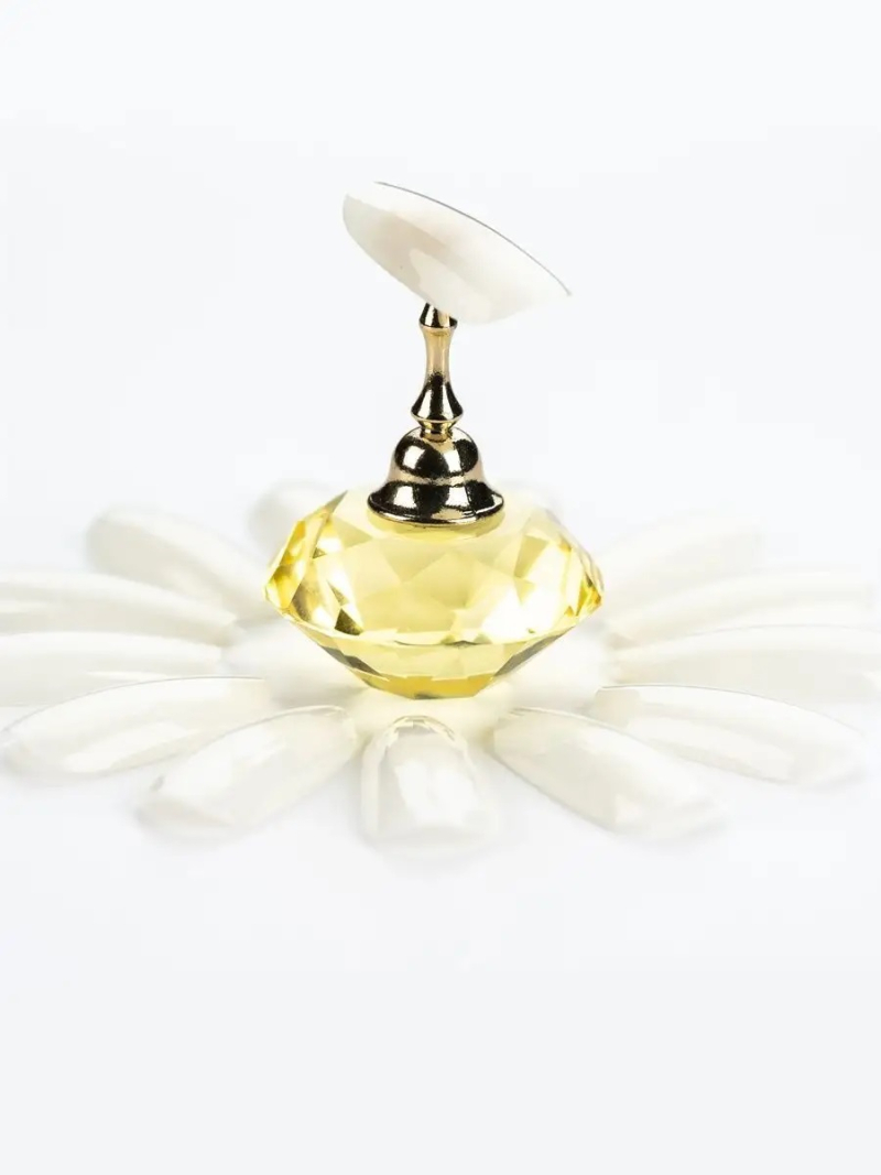 Купить типсы для демонстрационного дизайна ногтей натуральные