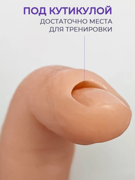 Купить палец для маникюра тренировочный на шарнирах ТОН 1 опт и розница
