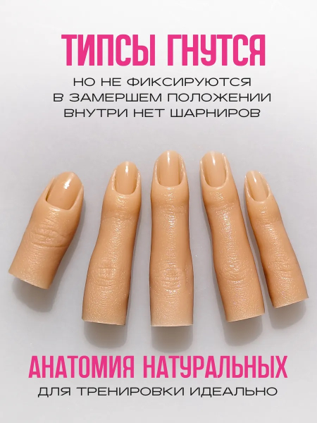 Купить Пальцы муляж тренировочные, набор 5 штук опт и розница