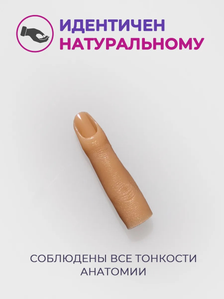 Купить Пальцы муляж тренировочные, набор 5 штук опт и розница