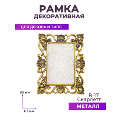 Рамка для демонстрации дизайнов ногтей на типсах R-17 Скарлетт