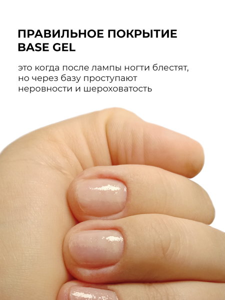 Купить базу для ногтей Base Gel Nail Club в банке