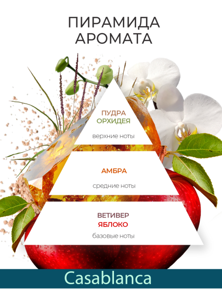 Купить масло для ногтей и кутикулы парфюмированное Casablanca