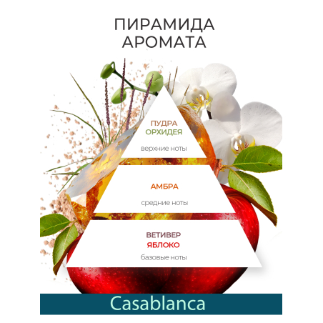 Купить масло для ногтей и кутикулы парфюмированное Casablanca