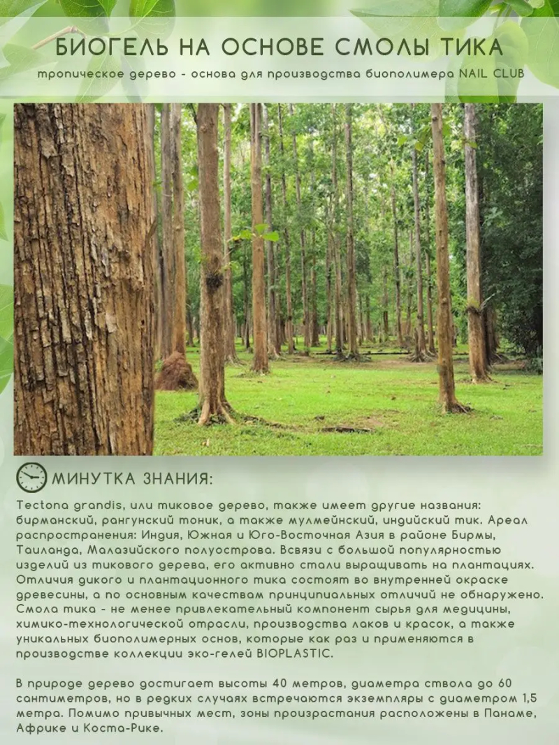 Купить биополимерный лечебный гель для ногтей с кератином BIOPLASTIC Cover Flex Keratin