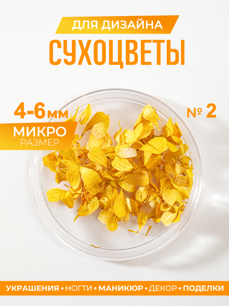 Купить сухоцветы для дизайна ногтей декора и поделок LUXE 02S с доставкой по всей России