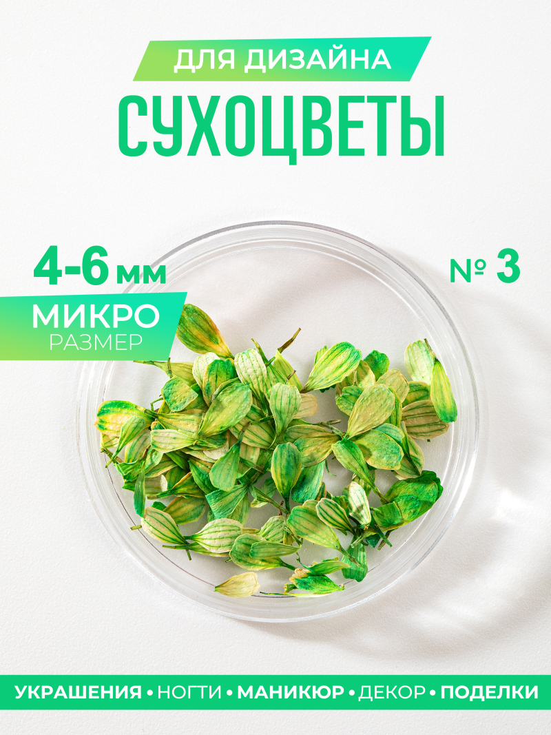 Купить сухоцветы для дизайна ногтей декора и поделок LUXE 03S с доставкой по всей России