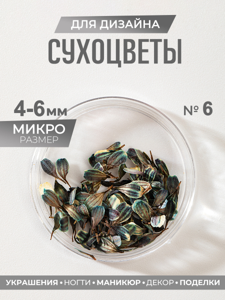 Купить сухоцветы для дизайна ногтей декора и поделок LUXE 06S с доставкой по всей России