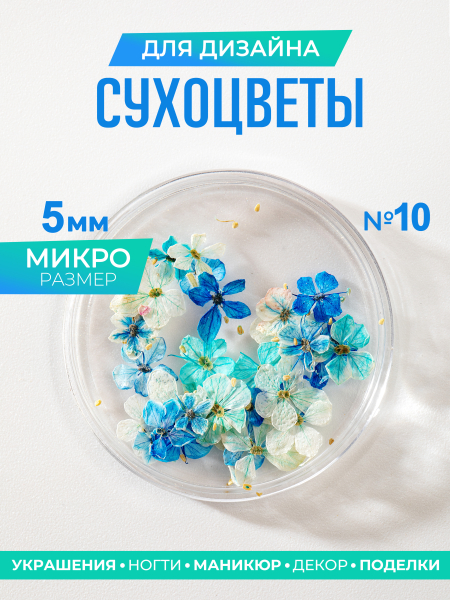 Купить сухоцветы для дизайна ногтей декора и поделок LUXE 10S с доставкой по всей России
