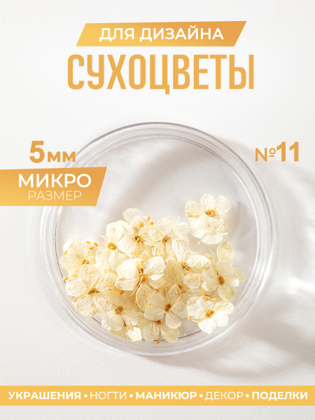 Купить сухоцветы для дизайна ногтей декора и поделок LUXE 11S с доставкой по всей России