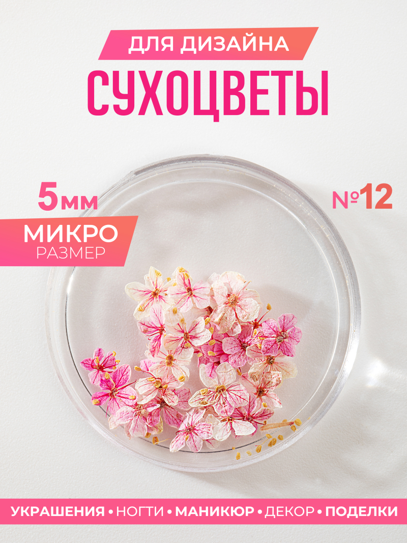 Купить сухоцветы для дизайна ногтей декора и поделок LUXE 12S с доставкой по всей России