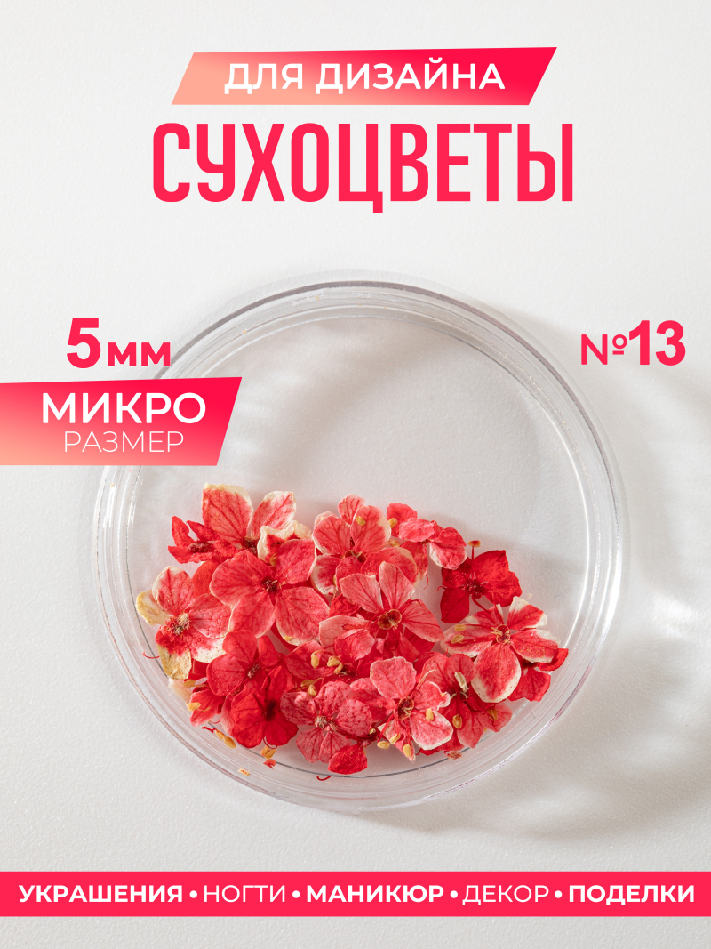 Купить сухоцветы для дизайна ногтей декора и поделок LUXE 13S с доставкой по всей России