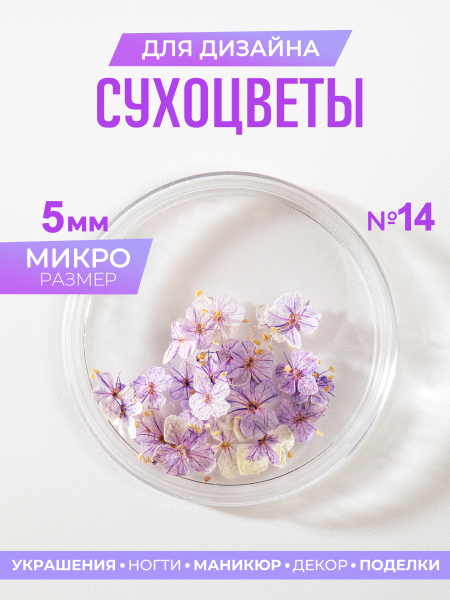 Купить сухоцветы для дизайна ногтей декора и поделок LUXE 14S с доставкой по всей России