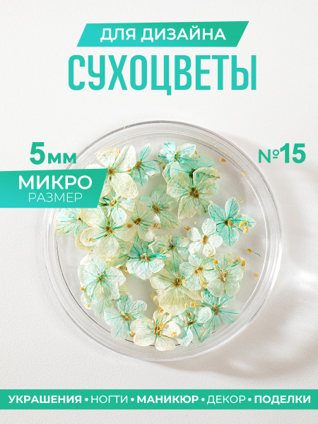 Купить сухоцветы для дизайна ногтей декора и поделок LUXE 15S с доставкой по всей России
