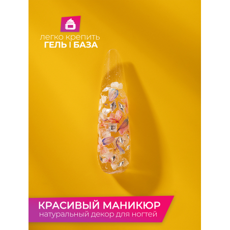 Купить сухоцветы для дизайна ногтей декора и поделок LUXE 01S с доставкой по всей России