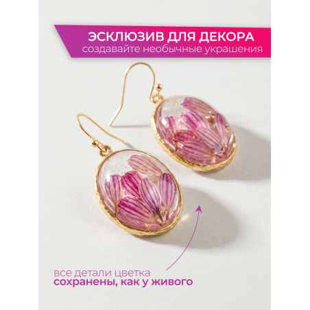 Купить сухоцветы для дизайна ногтей декора и поделок LUXE 01S с доставкой по всей России