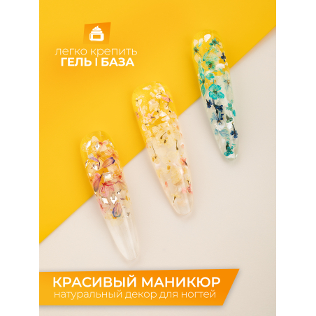 Купить сухоцветы для дизайна ногтей декора и поделок LUXE 02S с доставкой по всей России