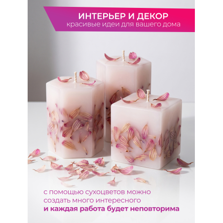Купить сухоцветы для дизайна ногтей декора и поделок LUXE 01S с доставкой по всей России