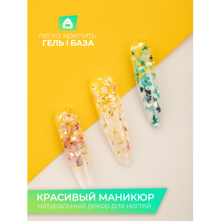 Купить сухоцветы для дизайна ногтей декора и поделок LUXE 03S с доставкой по всей России