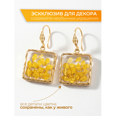 Купить сухоцветы для дизайна ногтей декора и поделок LUXE 02S с доставкой по всей России