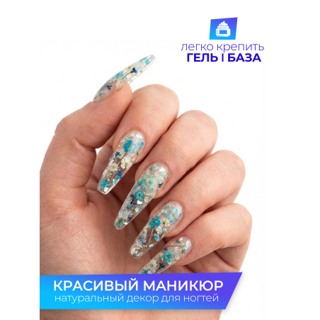 Купить сухоцветы для дизайна ногтей декора и поделок LUXE 04S с доставкой по всей России
