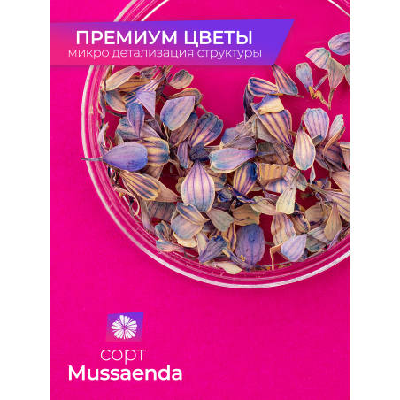 Купить сухоцветы для дизайна ногтей декора и поделок LUXE 05S с доставкой по всей России