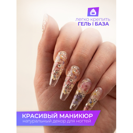 Купить сухоцветы для дизайна ногтей декора и поделок LUXE 07S с доставкой по всей России