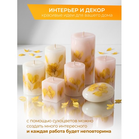 Купить сухоцветы для дизайна ногтей декора и поделок LUXE 02S с доставкой по всей России