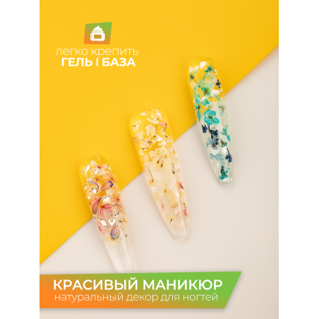 Купить сухоцветы для дизайна ногтей декора и поделок LUXE 08S с доставкой по всей России