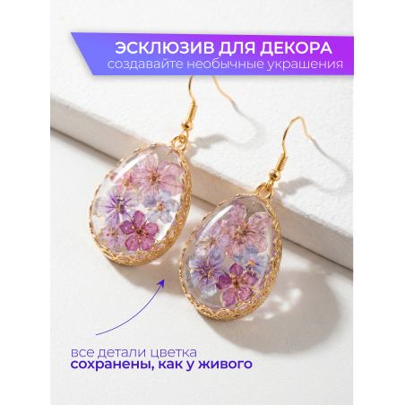 Купить сухоцветы для дизайна ногтей декора и поделок LUXE 07S с доставкой по всей России