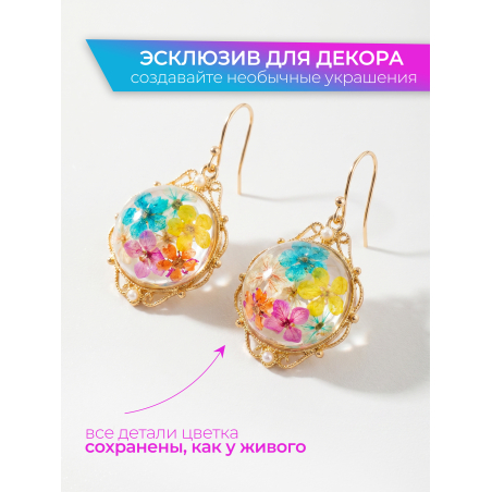 Купить сухоцветы для дизайна ногтей декора и поделок LUXE 09S с доставкой по всей России
