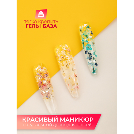 Купить сухоцветы для дизайна ногтей декора и поделок LUXE 13S с доставкой по всей России