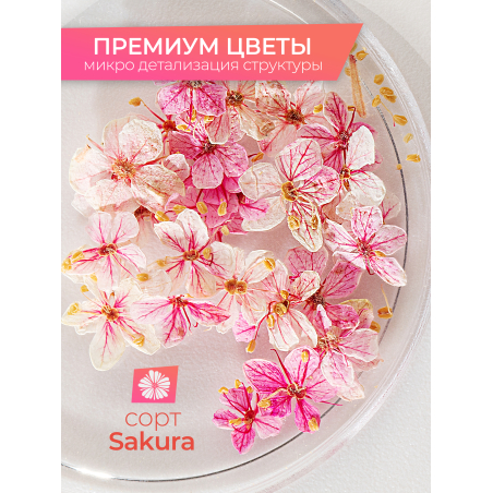Купить сухоцветы для дизайна ногтей декора и поделок LUXE 12S с доставкой по всей России