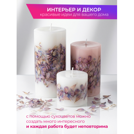 Купить сухоцветы для дизайна ногтей декора и поделок LUXE 05S с доставкой по всей России