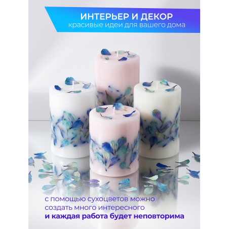 Купить сухоцветы для дизайна ногтей декора и поделок LUXE 04S с доставкой по всей России