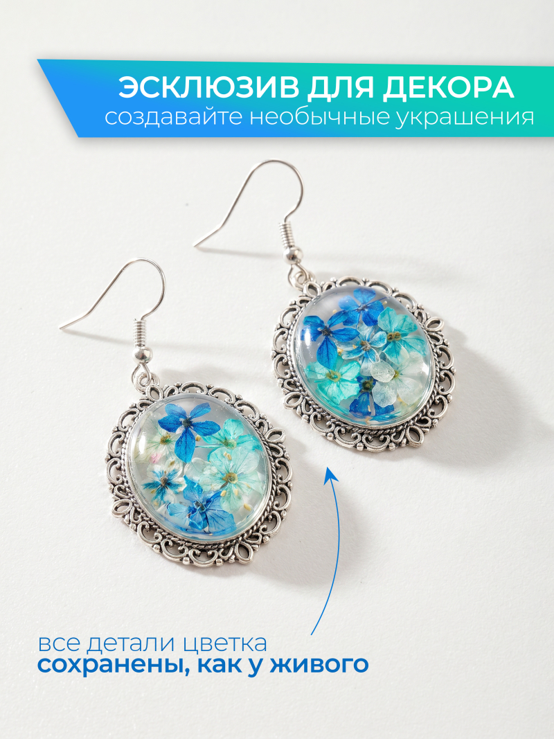 Купить сухоцветы для дизайна ногтей декора и поделок LUXE 10S с доставкой по всей России