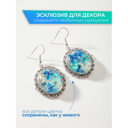 Купить сухоцветы для дизайна ногтей декора и поделок LUXE 10S с доставкой по всей России