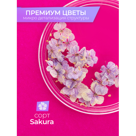 Купить сухоцветы для дизайна ногтей декора и поделок LUXE 14S с доставкой по всей России