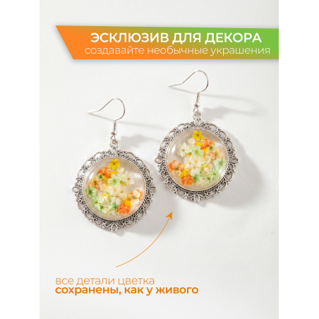Купить сухоцветы для дизайна ногтей декора и поделок LUXE 08S с доставкой по всей России