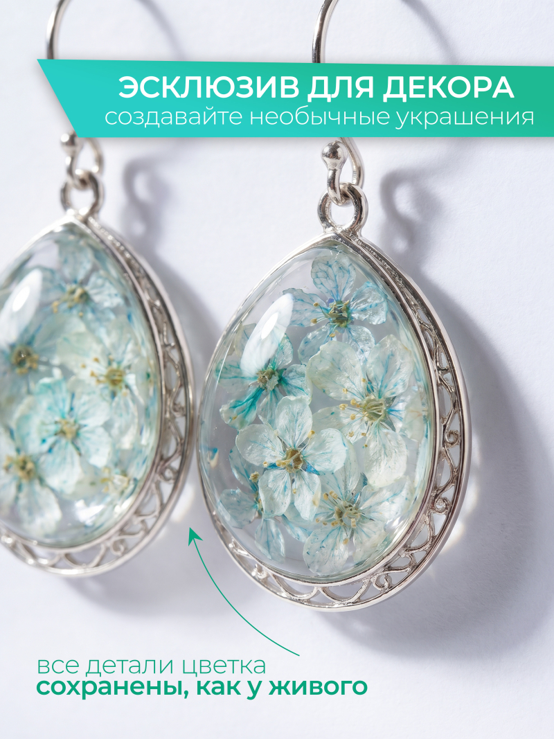 Купить сухоцветы для дизайна ногтей декора и поделок LUXE 15S с доставкой по всей России