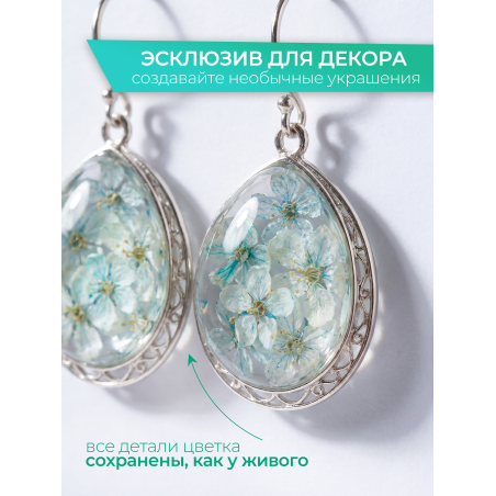 Купить сухоцветы для дизайна ногтей декора и поделок LUXE 15S с доставкой по всей России