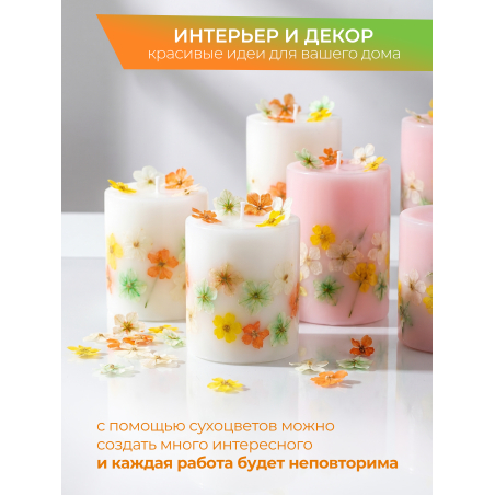Купить сухоцветы для дизайна ногтей декора и поделок LUXE 08S с доставкой по всей России