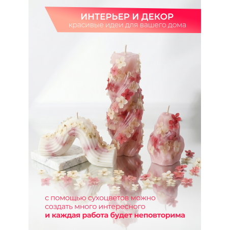 Купить сухоцветы для дизайна ногтей декора и поделок LUXE 13S с доставкой по всей России