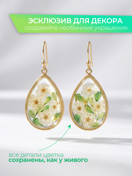 Купить сухоцветы для дизайна ногтей декора и поделок LUXE 03S с доставкой по всей России