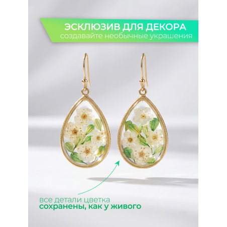 Купить сухоцветы для дизайна ногтей декора и поделок LUXE 03S с доставкой по всей России